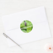  productetiket ronde sticker (Envelop)