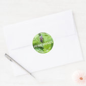  productetiket ronde sticker (Envelop)