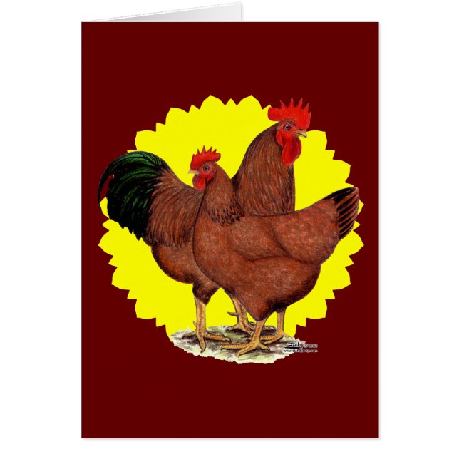 Productie Red Sunburst (Voorkant)