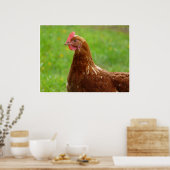 Productie Roodkuikens Poster in orde (Keuken)
