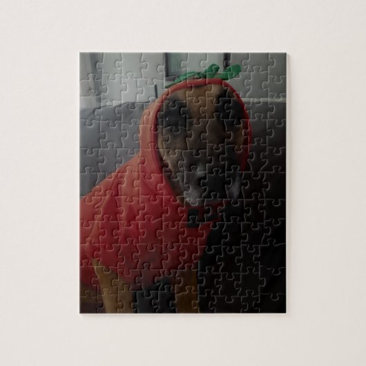 proef2 legpuzzel (Verticaal)