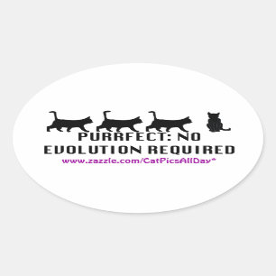 Proef-urbanisatieproject Ovale Sticker