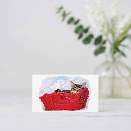 Proefabonnement Aslaap Kitten Red Basket Visitekaartje (Staand voorkant)