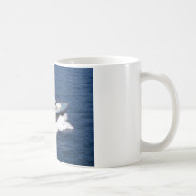 Proefboot op snelheid