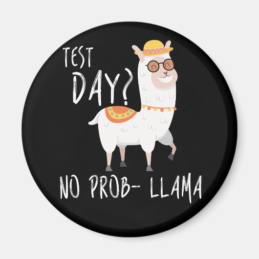 Proefdag geen Prob Llama-leerlingexamen Magneet (Voorkant)