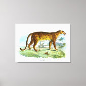 proefdier Leopard Canvas Afdruk (Voorkant)