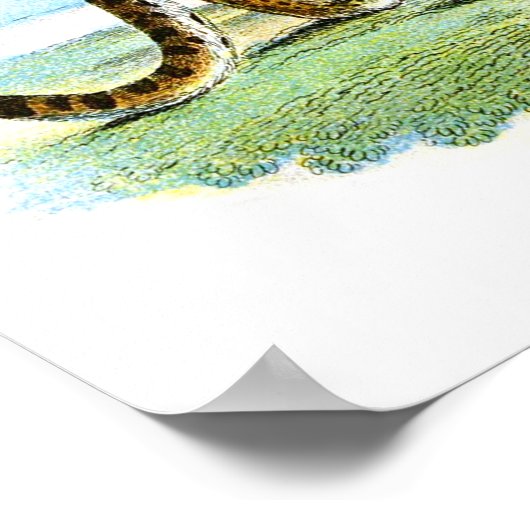  proefdier Leopard Poster (Hoek)