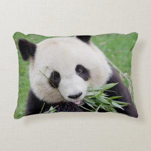 Proeffotogigant panda. accent kussen