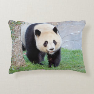 Proeffotogigant panda. accent kussen