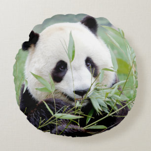 Proeffotogigant panda. rond kussen