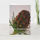 Proefkonijn in het Pet van de Kerstman Feestdagen Kaart (Achterkant)