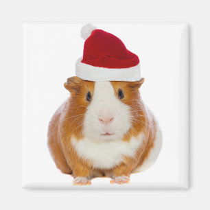 Proefkonijn in het pet van de Kerstman Magneet