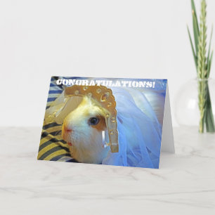 proefkonijn met een sluier kaart