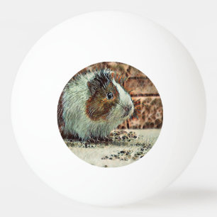 proefkonijn pingpongbal