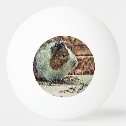 proefkonijn pingpongbal (Achterkant)