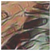 proefkonijn stof (Close Up)