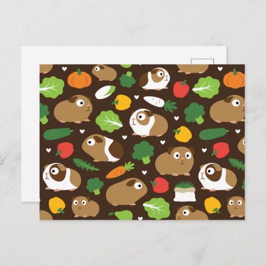 Proefkonijnen en Hun Traktaties Briefkaart (Voorkant / Achterkant)