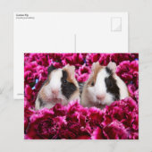 Proefkonijnen in het Bed van de Bloem Briefkaart (Voorkant / Achterkant)