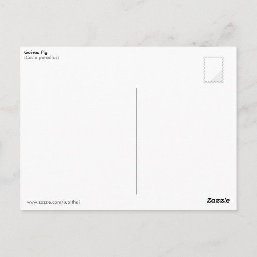 Proefkonijnen in het Bed van de Bloem Briefkaart (Achterkant)