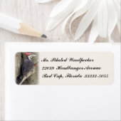 Proefmatige Woodpecker Etiketten van het Adres van (Insitu)