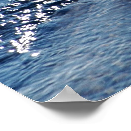 Proefwalvis Poster (Hoek)