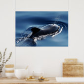 Proefwalvis Poster (Keuken)