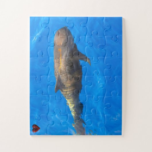 Proefwalvissen Legpuzzel (Verticaal)