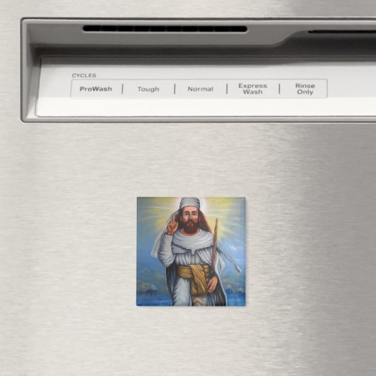 Profeet Zarathustra magneet (Insitu (Vaatwasser))