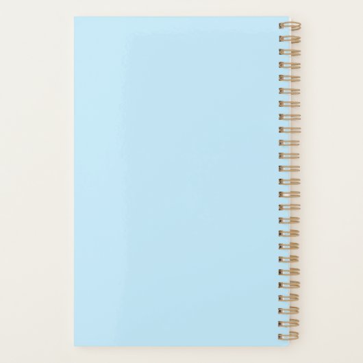 Professional Blue-minimalist Planner (Achterkant)