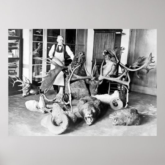 Professional Taxidermist: 1923 Poster (Voorkant)
