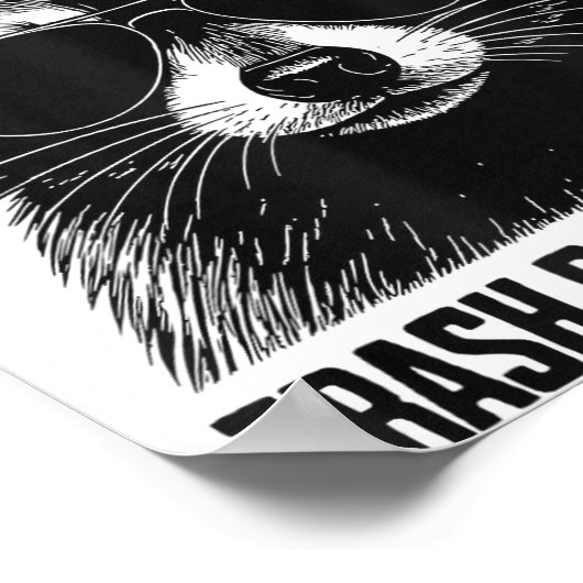 Professional Trash Panda Trainer Poster (Hoek)