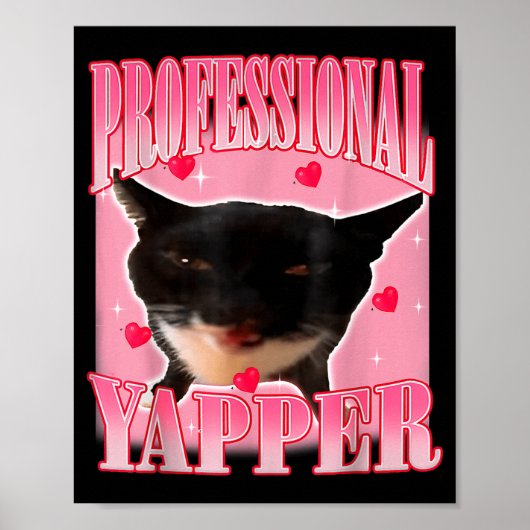 Professional Yapper Cat Funny Oddly Specific Dank Poster (Voorkant)
