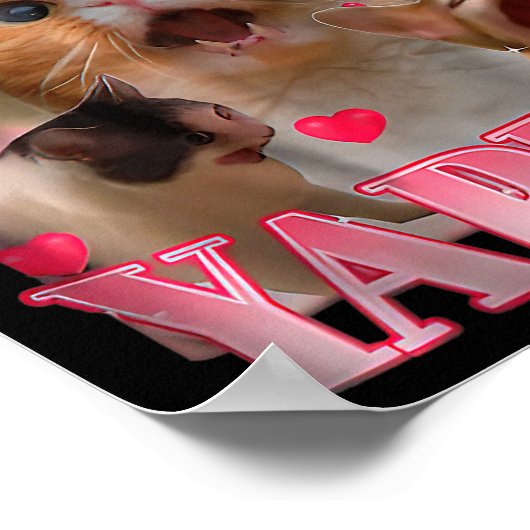 Professional Yapper Cat Funny Oddly Specific Dank Poster (Hoek)