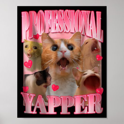 Professional Yapper Cat Funny Oddly Specific Dank  Poster (Voorkant)