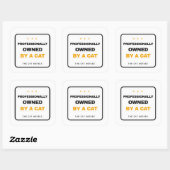 Professionally Owned By A Cat Funny Sticker (Vel)