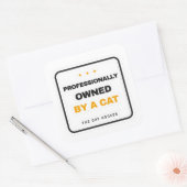 Professionally Owned By A Cat Funny Sticker (Envelop)