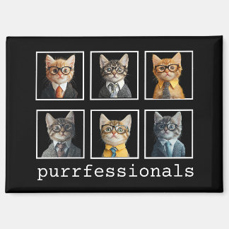 Professionals Katten in pakken Magneet