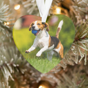 Professioneel foto-acrylhart ornament