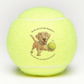 Professionele bal Retriever Tennisbal (Voorkant)