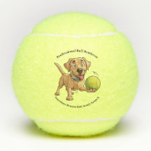 Professionele bal Retriever Tennisbal