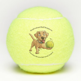 Professionele bal Retriever Tennisbal