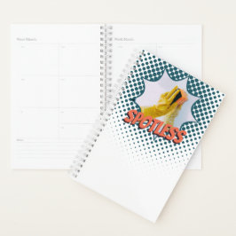 Professionele blauw- en witwasservices planner