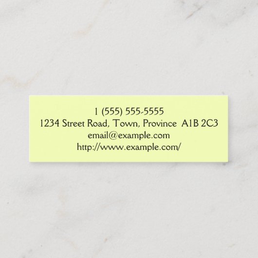 Professionele decorator-Visitekaartje Mini Visitekaartje (Achterkant)