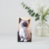 Professionele dierenverzorging met verwisselbare f visitekaartje (Staand voorkant)