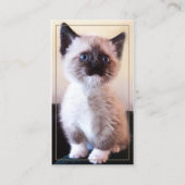 Professionele dierenverzorging met verwisselbare f visitekaartje (Voorkant)