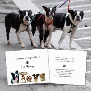 Professionele honden uitlaten en huisdieren oppass flyer