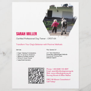 Professionele Hondentrainer Flyer Great Dane