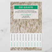 Professionele hondenwandel Flyers Moderne huisdier (Voorkant)