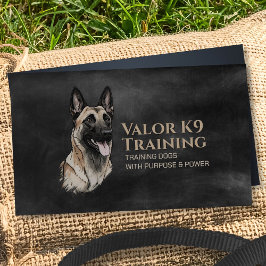Professionele K9 Training - Belgische Malinois Visitekaartje