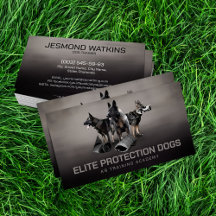 Professionele K9-training